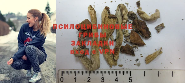 мяу мяу мука Баксан